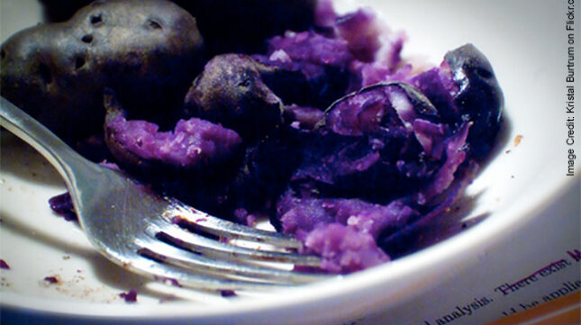 Smashed Purple Potatoes
