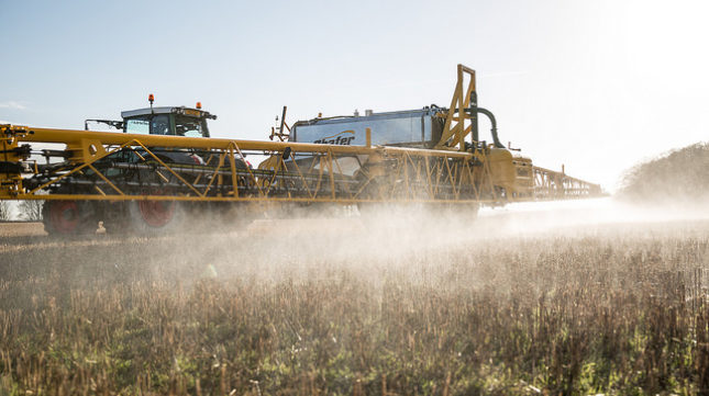 Why + How to Avoid Glyphosate